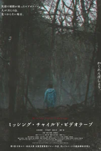 Видеозапись исчезновения ребёнка 